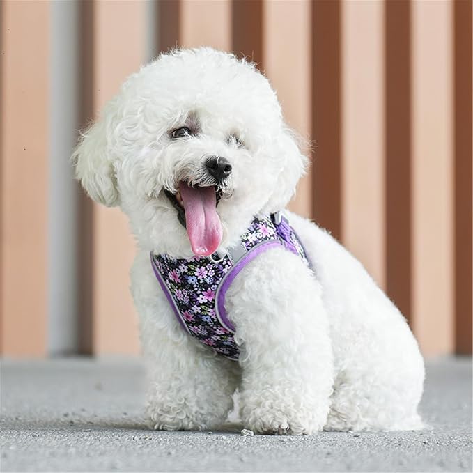 Step in Dog Harness No Pull Flower Adjustable Soft Mesh Harness | Reflective Pet Vest Harness and Leash Set for Small Medium Dogs - Image 7