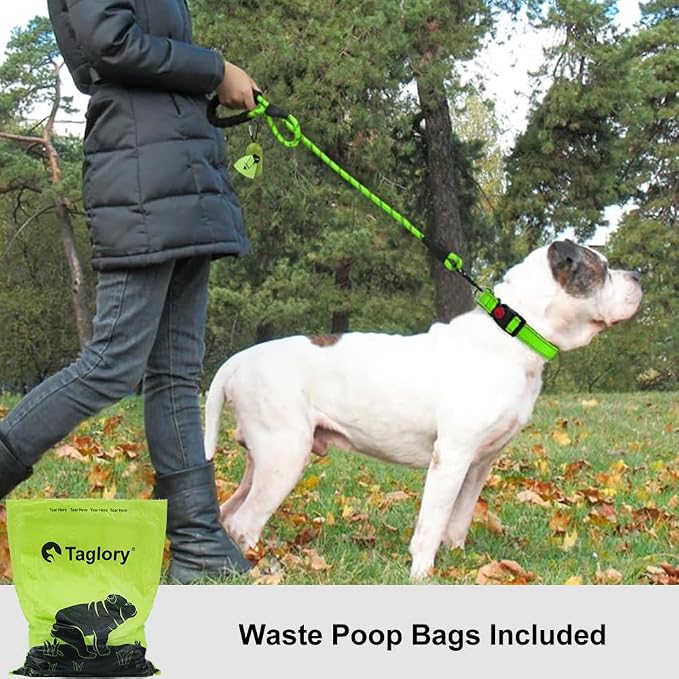 Taglory Rope Dog Leash for Medium Large Dogs, 6 FT Padded Handle, Green | Climbing Rope for Strong Pullers, Reflective for Night Walks and Training, Comfortable Grip, Anti-tangle Swivel Clip 1/2 inch - Image 2
