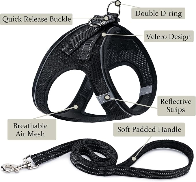 Dog Harness with Leash Set, Step-in Adjustable Puppy Pet Vest, Black XL | Lightweight Breathable Air Mesh, Night Safety Reflective, No Pull Puppy Vest Harnesses for Small Medium Large Dogs, Cats - Image 2