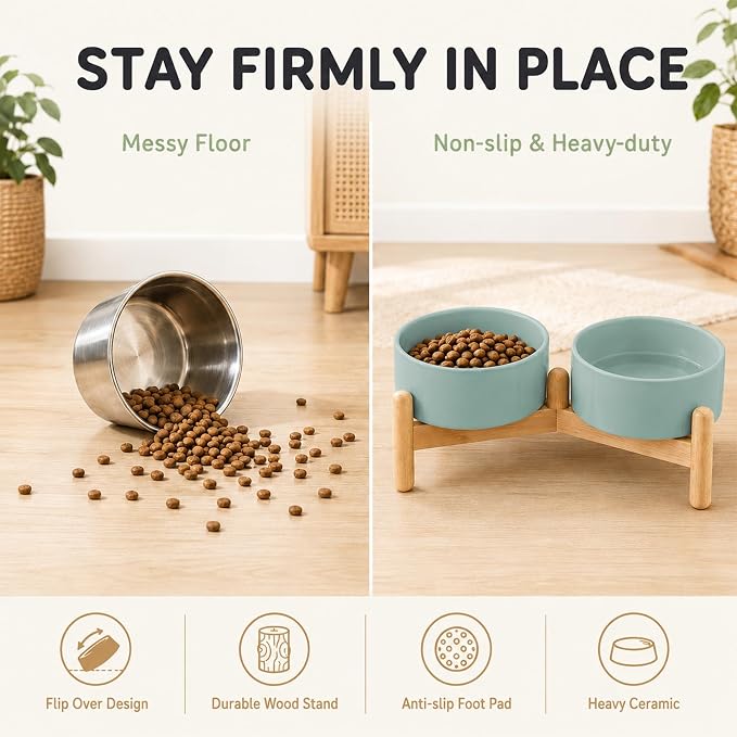 Havniva Ceramic Dog Bowls Elevated, Raised Dog Food Bowl for Small Dogs | 6.1” Elevated Dog Bowls, Non-Slip Wood Stand, Dog Food and Water Bowl Set, Dog Feeding Dish, Large Capacity Pet Water Bowl - Image 5