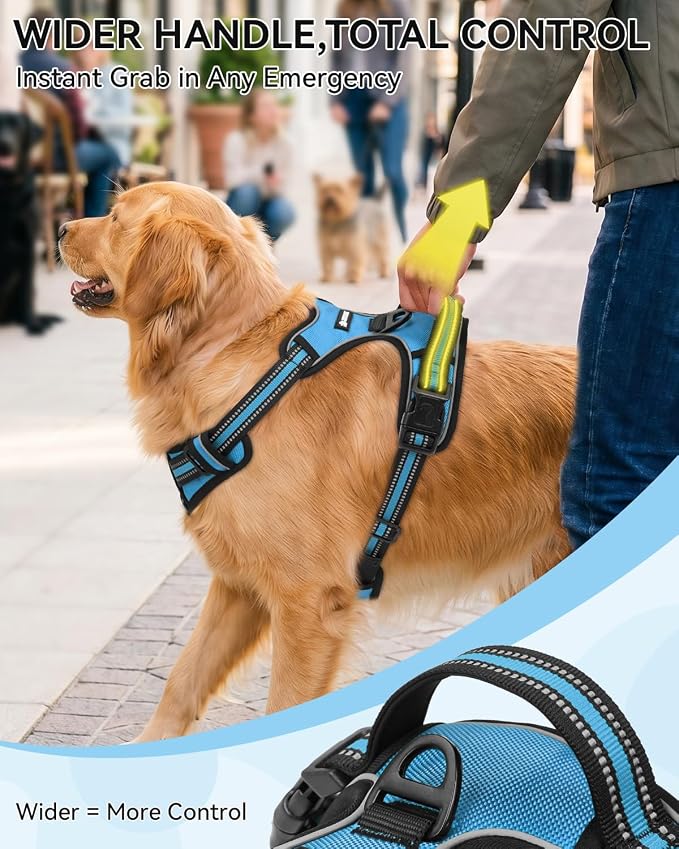 Joytale No Pull Dog Harness & Seat Belt, Easy On 3-Buckle, M, Sky Blue | Front Clip Reduces Pulling, Escape-Resistant Design, Adjustable Fit, Soft Padding for Comfort, Secure Tether for Safer Travel - Image 5