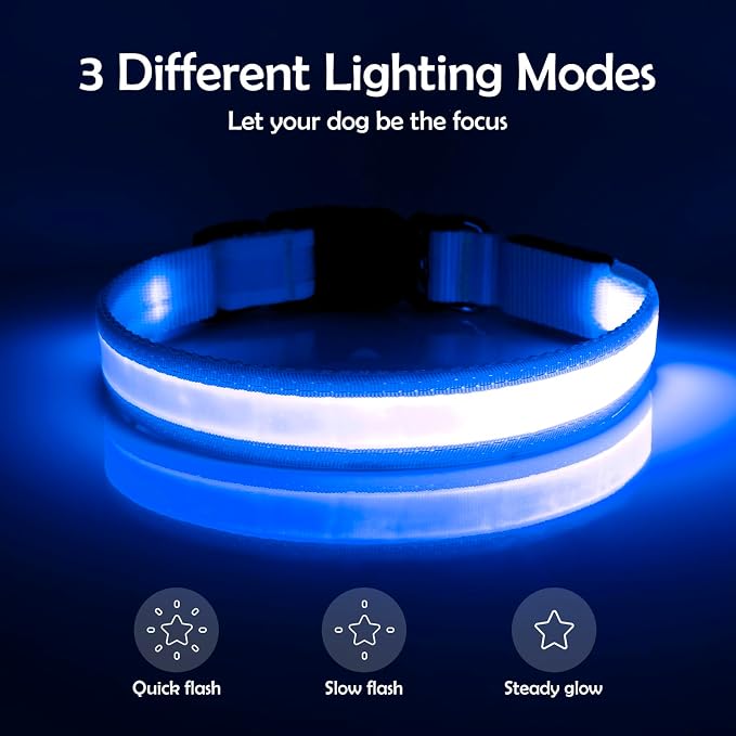 Vizpet LED Dog Collar, Light Up Dog Collar Adjustable USB Rechargeable Super Bright Safety Light Glowing Collars for Dogs(Medium,Blue) - Image 2