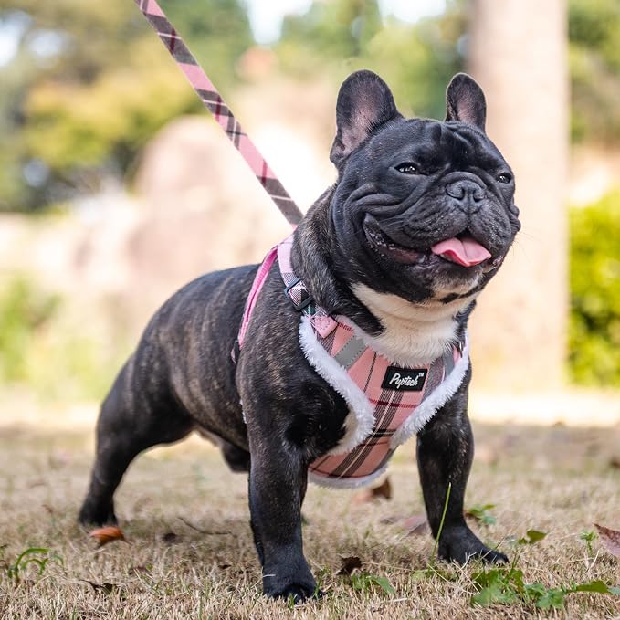 PUPTECK Dog Harness and Leash Set Medium Sized, Step in No Pull Adjustable Puppy Cat Harness Reflective Pet Vest - Image 5