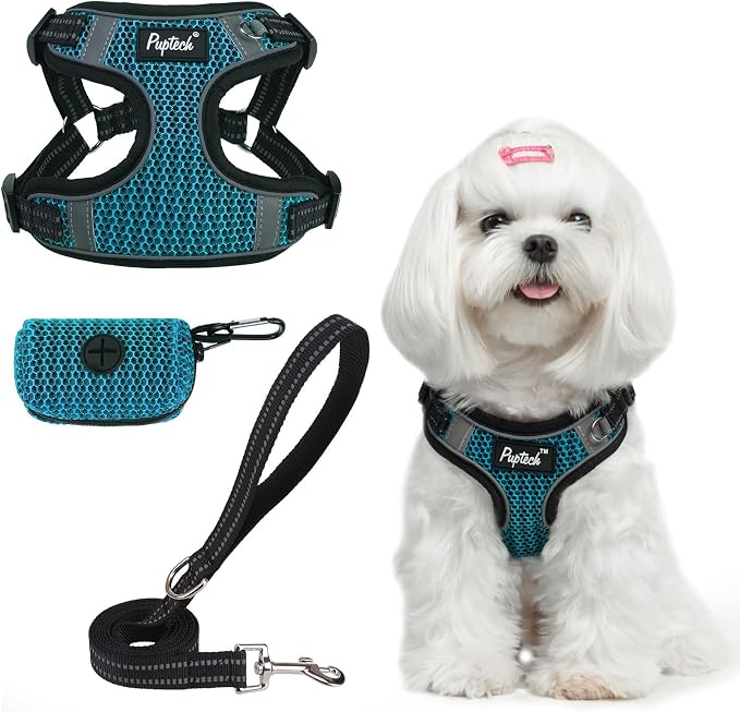 PUPTECK Dog Harness and Leash Set Small Sized, Step in No Pull Adjustable Puppy Cat Harness Reflective Pet Vest by PUPTECK
