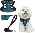 PUPTECK Dog Harness and Leash Set Small Sized, Step in No Pull Adjustable Puppy Cat Harness Reflective Pet Vest by PUPTECK
