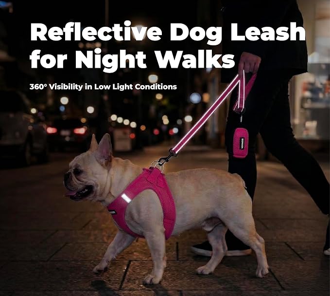 Best Pet Supplies Voyager Nylon Dog Leash - 6ft Fuchsia, Large | 6ft in Length, 1" in Width, Reflective, Soft Neoprene Handle, Heavy Duty Metal Clips for Running, Walking & Training - Image 4