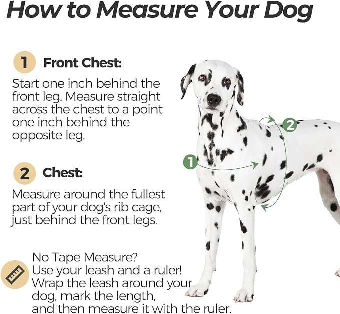 BINGPET No Pull Dog Harness for Large Dogs | Escape-Proof & No-Choke | Soft Padded Vest with Handle & Reflective Front Clip | Quick-Fit for Training, Hiking & Daily Walks | Black, L - Image 2