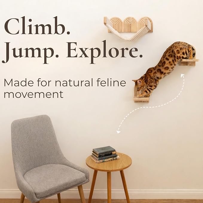 Wall Mounted Cat Hammock Bed with Steps - Wooden Wall Shelf for Cats - Paintable Natural Rubberwood - The Perfect Perch for Cats & Kittens - Image 5