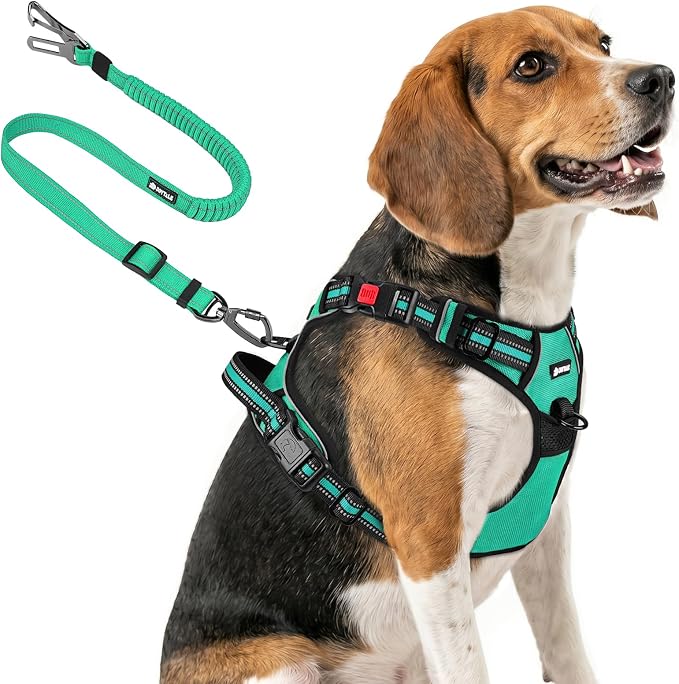 Joytale No Pull Dog Harness & Seat Belt, Easy On 3-Buckle, M, Teal | Front Clip Reduces Pulling, Escape-Resistant Design, Adjustable Fit, Soft Padding for Comfort, Secure Tether for Safer Travel by Joytale