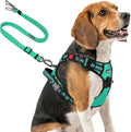 Joytale No Pull Dog Harness & Seat Belt, Easy On 3-Buckle, M, Teal | Front Clip Reduces Pulling, Escape-Resistant Design, Adjustable Fit, Soft Padding for Comfort, Secure Tether for Safer Travel by Joytale