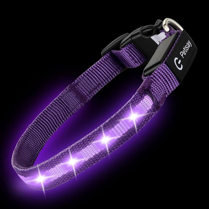 Super Bright LED Dog Collar, Waterproof Light up Collars(Purple, X-Small) | Lighted Dog Collar with Adjustable Fit, Soft Nylon Comfort, USB-C Rechargeable, Glow in the Dark Visibility for Night Walks - Image 3