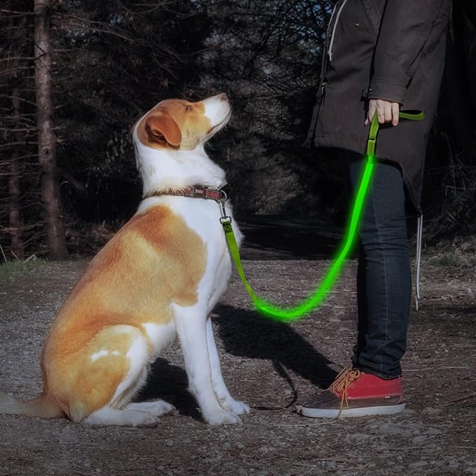Illumifun LED Dog Leash, 4FT Reflective Light Up Dog Leash, Safety Flashing Dog Lead Light Glow in the Dark (Green Ⅲ) - Image 7