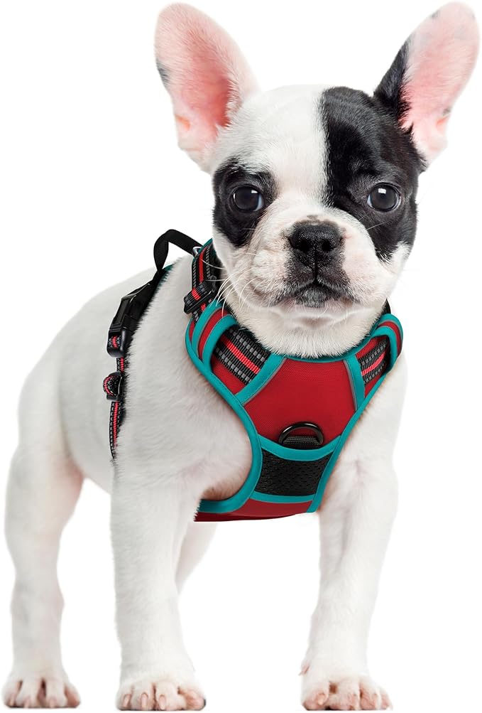 rabbitgoo Dog Harness, No Pull for Small Dogs with 2 Leash Clips, Pet Vest | No Choke with Handle, Adjustable Soft Padded, Reflective, Easy Control for Walking, Red & Teal, Small by rabbitgoo
