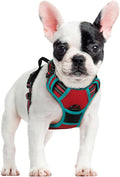 rabbitgoo Dog Harness, No Pull for Small Dogs with 2 Leash Clips, Pet Vest | No Choke with Handle, Adjustable Soft Padded, Reflective, Easy Control for Walking, Red & Teal, Small by rabbitgoo