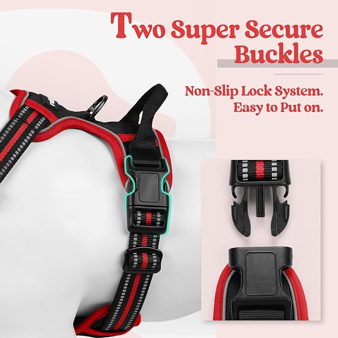 rabbitgoo Dog Harness, No Pull Medium Sized with 2 Leash Clips, Pet Vest | No Choke with Handle, Adjustable Soft Padded, Reflective, Easy Control for Walking, Black & Red, Medium - Image 3