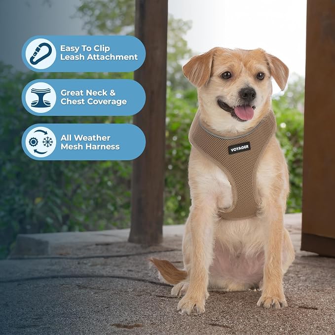 Best Pet Supplies Voyager Aerolite Over the Head Dog Harness, No Pull Breathable Air Mesh Vest, Quick Dry with Reflective Stitching, Adjustable Escape Resistant Harness - Beige, Medium - Image 5