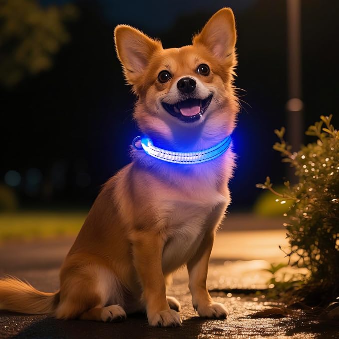 Light Up Dog Collar for Small Dogs, LED Dog Collar Rechargeable Safety Dog Lights, Fully Adjustable Glow in The Dark Dog Collar Light for Night Walking & Camping (X-Small, Blue) by Dolitego