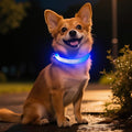 Light Up Dog Collar for Small Dogs, LED Dog Collar Rechargeable Safety Dog Lights, Fully Adjustable Glow in The Dark Dog Collar Light for Night Walking & Camping (X-Small, Blue) by Dolitego