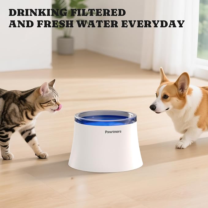 Pawtners Dog Water Fountain, 8 Replacement Filters for 10in/6.7in Fountain | Multiple Filtration, filter out hair, dust, debris and adsorb heavy metal ions, Suitable for Small Medium Large Dogs Cats Pet - Image 8