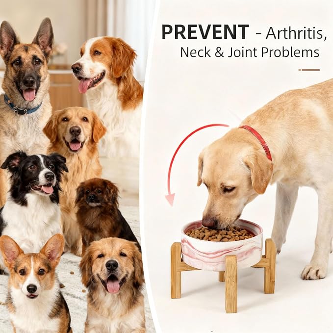 Elevated/Raised Ceramic Dog Bowl with Bamboo Stand,Marble Pattern 6 Inch 3.6 Cups Non Slip Heavy Weighted Single Pet Dish, for Small Medium Breed & Cats,Reduces Neck Strain Marble Pink - Image 2