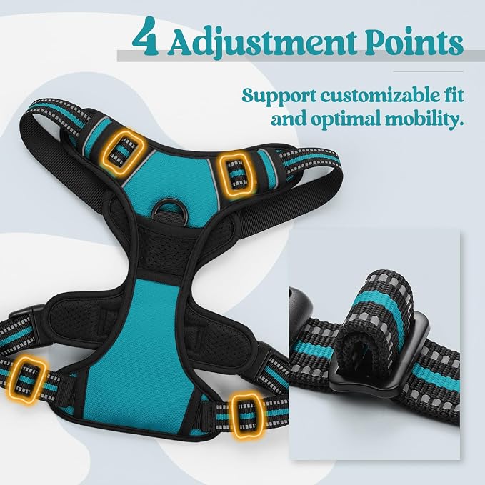 rabbitgoo Dog Harness, No Pull Medium Sized with 2 Leash Clips, Pet Vest | No Choke with Handle, Adjustable Soft Padded, Reflective, Easy Control for Walking, Teal, Medium - Image 4