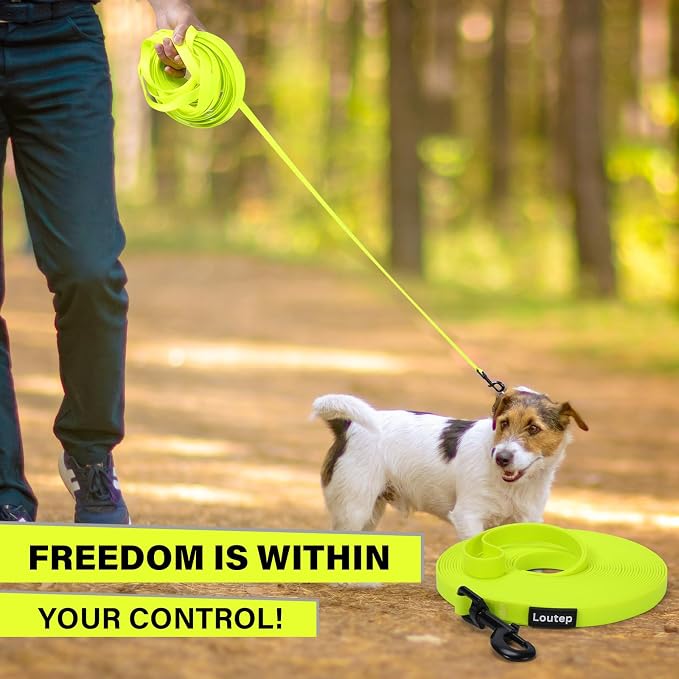 Waterproof Long Line Dog Leash, Padded Handle, 10 ft, Yellow | Soft PVC-coated webbing with 360° swivel carabiner for swimming, tracking and rainy walks - Image 7