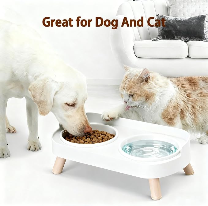 Elevated Cat Bowls, 2 Stainless Steel Raised Cat Food and Water Bowl Set, Splash Proof & Non-Slip, Whisker Fatigue Friendly, Dishwasher Safe for Cats and Small Dogs - White - Image 6
