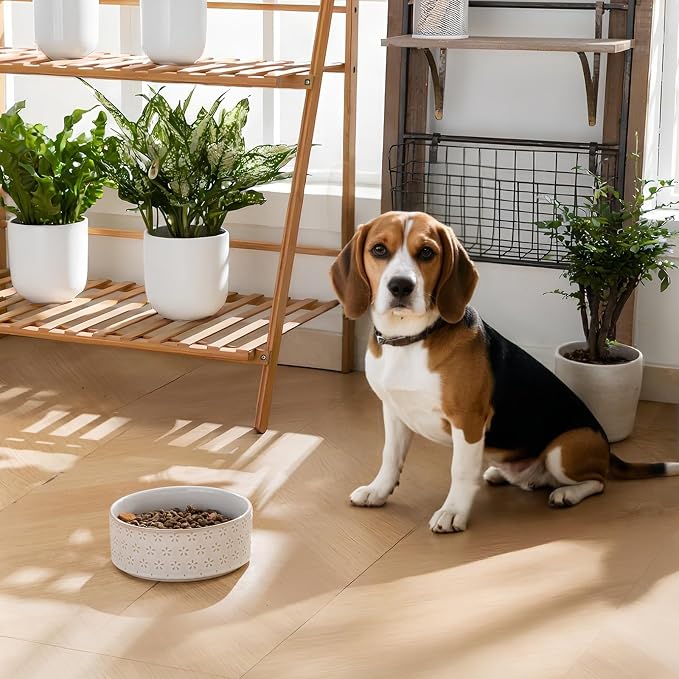 MALACASA Ceramic Dog Food Bowl, Water Dish for Medium Breeds, 3.5 Cups | Five-Leaf Grass Pattern, Ceramic Pet Bowl, Food and Water Dish, Dishwasher and Microwave Safe, for Medium Dogs - Image 6