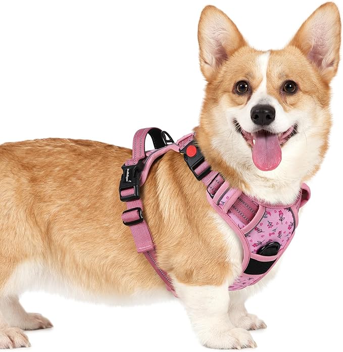 rabbitgoo Dog Harness Small Sized, Updated Easy On & Off with 3 Buckles | No Pull No Choke, Walking with 2 Clips and Handle, Adjustable Soft Reflective, Floral Pink, Small by rabbitgoo