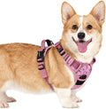 rabbitgoo Dog Harness Small Sized, Updated Easy On & Off with 3 Buckles | No Pull No Choke, Walking with 2 Clips and Handle, Adjustable Soft Reflective, Floral Pink, Small by rabbitgoo