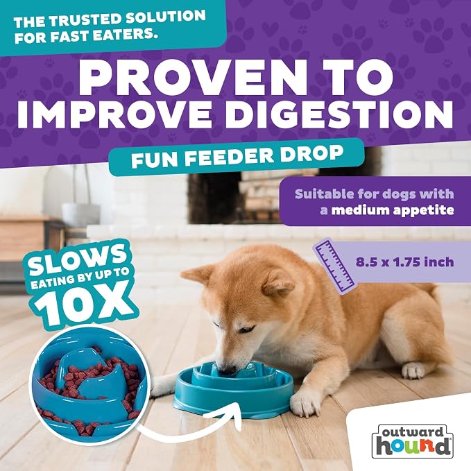 Outward Hound Fun Feeder Slo Bowl – Medium 2‑Cup Capacity,Slow Feeding,Small to Medium Dogs & Cats,Non-Slip,Turquoise,Drop Pattern,(Pack of 12) - Image 4