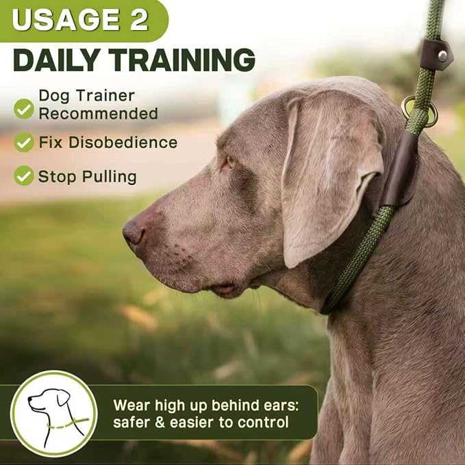 Fida Durable Slip Lead Dog Leash, 6 FT x 3/8" Dog Training Leash, Green | For Small Dogs and Puppies, Comfort Heavy Duty Rope Slip Leash, Highly Reflective for Night Safety, No Pull Pet Loop Leash - Image 5