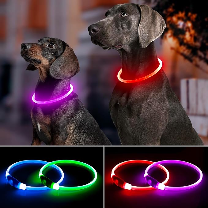 Light Up Dog Collar 2-Pack, USB Rechargeable for Small to Large Dogs | Rechargeable LED Glow Dog Collar with 3 Light Modes, Waterproof, Adjustable 12–25 Inches for Safe Night Walking - Image 3