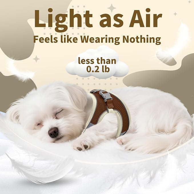 AIITLE Medium Dog Harness and Leash Set, Step-in Puppy Pet Vest, Beige L | Light, Soft, Breathable Air Mesh, Escape-Proof, Easy on and Remove with Hook & Loop, Secure Reflective for Walking - Image 7
