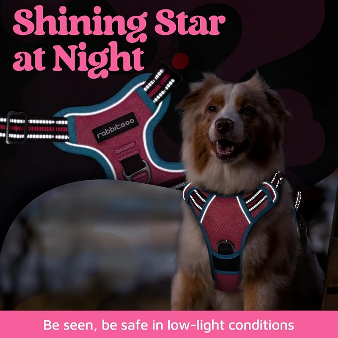 rabbitgoo Dog Harness Small Sized, No Pull 3 Buckles Easy On & Off | Soft Padded, Walking with Control Handle, Adjustable and Reflective, Pink & Blue, Small - Image 6