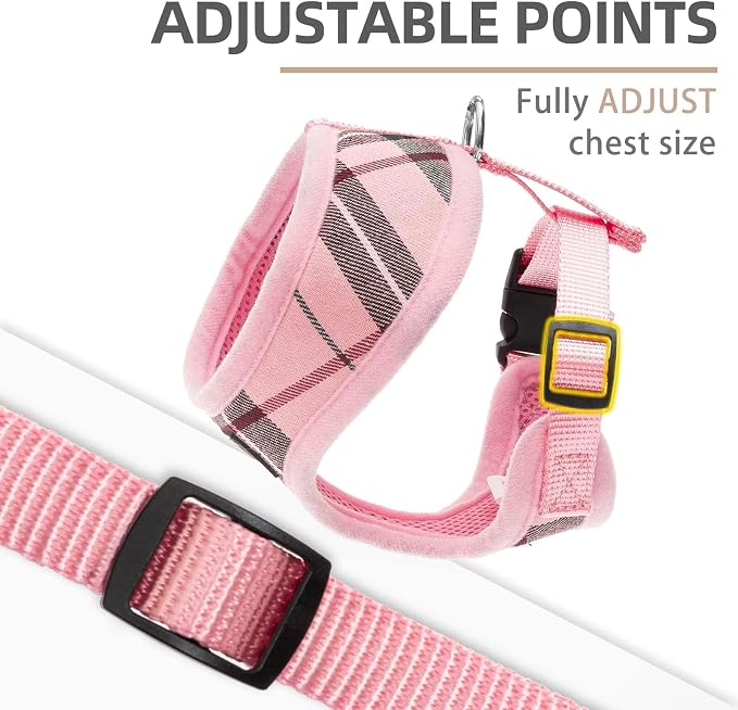 PUPTECK Small Dog Harness and Leash Set No Pull for XS XXS Sized Dogs Puppy | Escape Proof No Choke Pet Cat Adjustable Soft Padded Walking Vest - Image 3
