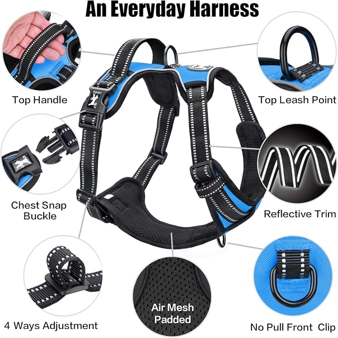 PoyPet No Pull Dog Harness Small, Reflective Vest with Front Clip & Handle | Easy On/Off, No Choke, Adjustable, 2 Leash D-rings, Soft Padded, Breathable, Oxford, for Walking Training, S, Blue - Image 6