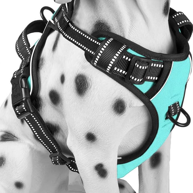 PoyPet No Pull Dog Harness Small, Reflective Vest with Front Clip & Handle | Easy On/Off, No Choke, Adjustable, 2 Leash D-rings, Soft Padded, Breathable, Oxford, for Walking Training, S, Mint Blue by PoyPet