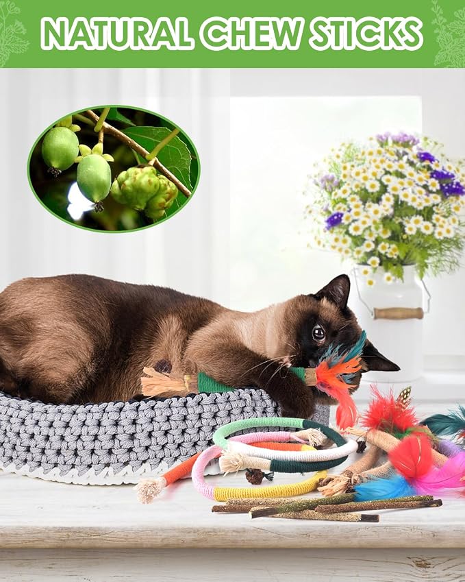 TINDTOP Cat Chew Toys, Silvervine Chew Sticks with 2 Pack Chew Ropes | for Kittens Teeth Cleaning, Increase Appetite, Aggressive Chewers Cat Dental Toy - Image 5