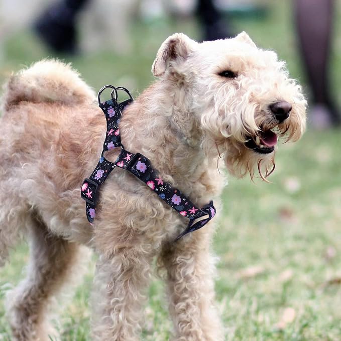 Dog Harness Leash Set Adjustable Heavy Duty No Pull Halter Harnesses for Small Medium Large Breed Dogs Back Clip Anti-Twist Perfect for Walking - Image 2