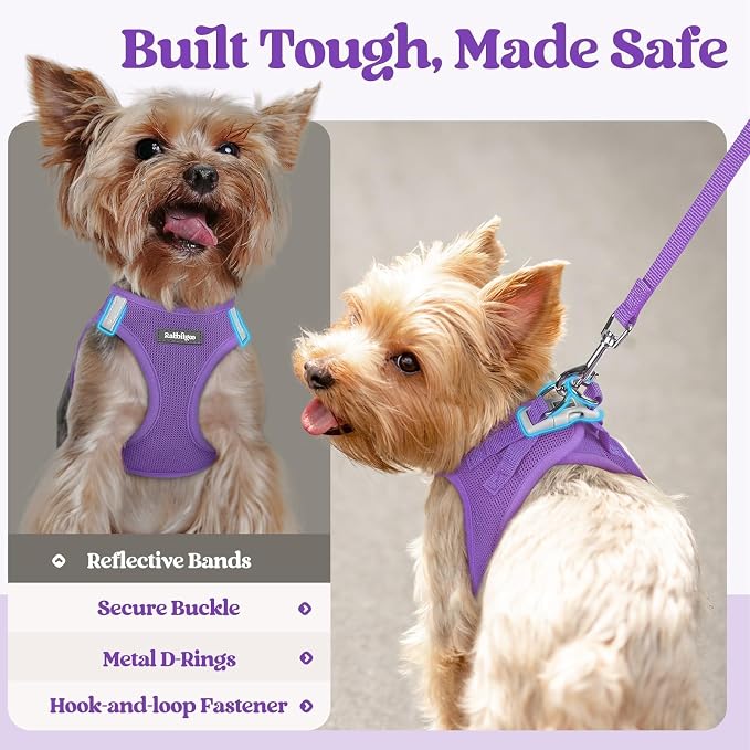 rabbitgoo Dog Harness Medium Sized and Leash Set, Step-in Puppy Pet Vest | Light, Soft, Breathable Air Mesh, Easy on and Remove with Hook & Loop, Secure Reflective for Walking, Purple L - Image 7