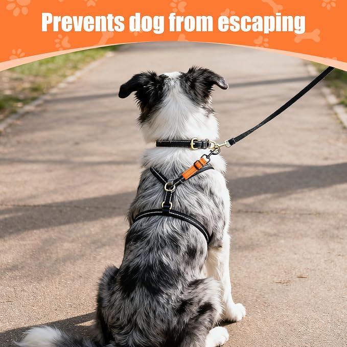 Dog Collar Safety Clip, Reflective Double-Ended Backup Connector for Harness to Collar, Adjustable Safety Clip for Prong, Pinch Collars, Prevents Escapes & Accidental Disconnection - Image 5