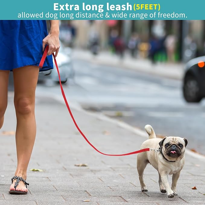Hypeety Dog Training Leash Strong Nylon Lead for Training Walking, 3pcs | 3-pack nylon leashes, 5ft long with sturdy hook, sturdy lightweight traction rope, for puppy/dog/cat/rabbit, red/blue/black - Image 4