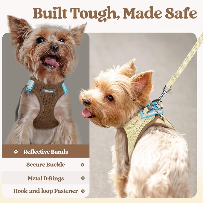 rabbitgoo Dog Harness Small Sized and Leash Set, Step-in Puppy Pet Vest | Light, Soft, Breathable Air Mesh, Easy on and Remove with Hook & Loop, Secure Reflective for Walking, Brown & Beige S - Image 7