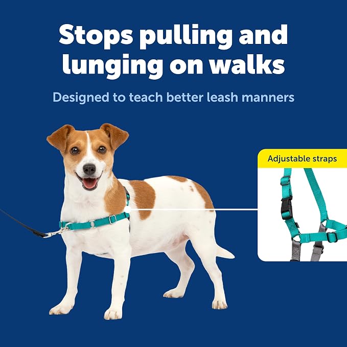 PetSafe Easy Walk Harness, No Pull Dog Harness, Small, Teal | Patented Martingale Loop Gives Gradual Shoulder Pressure to Stop Pulling, Front-Chest Leash Clip Prevents Gagging - Image 3