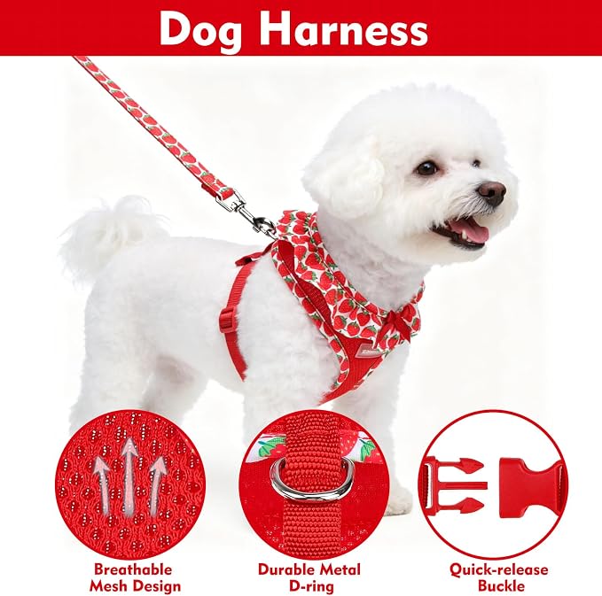 EXPAWLORER Step-in Dog Harness Small Sized and Leash Set | Cute Small Dog Harness No Pull Girl, Breathable Soft Mesh Padded, Adjustable Light Puppy Vest for Dogs Cats, Strawberry M - Image 3