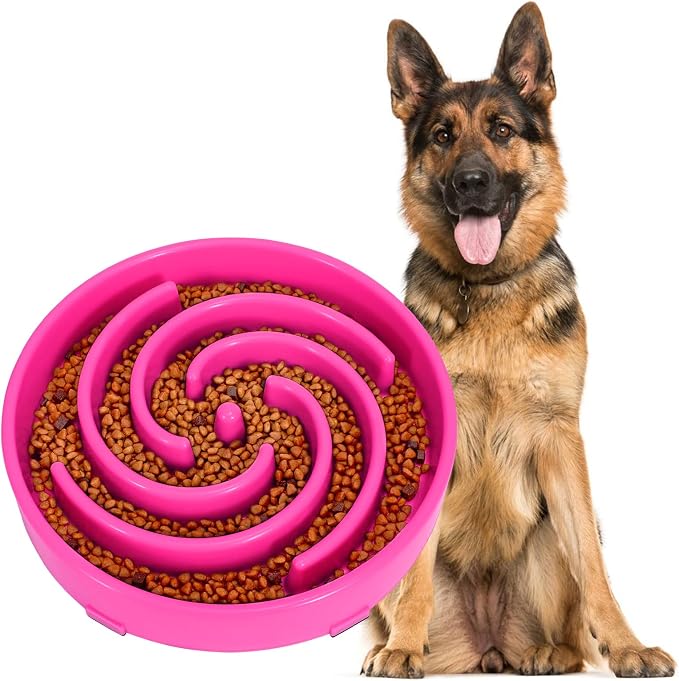 JASGOOD Slow Feeder Dog Bowl for Large Medium Dogs, Anti-Gulping Pet Slower Food Feeding Bowls, Stop Bloat, Preventing Choking, Healthy Design, R-Rose red by JASGOOD