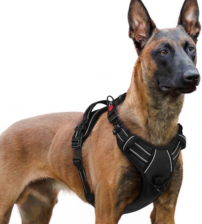 rabbitgoo Dog Harness for Large, Updated Easy On & Off with 3 Buckles | No Pull No Choke, Walking with 2 Clips and Handle, Adjustable Soft Reflective, Black, X-large by rabbitgoo