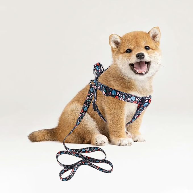 Dog Harness Leash Set Adjustable Heavy Duty No Pull Halter Harnesses for Small Medium Large Breed Dogs Back Clip Anti-Twist Perfect for Walking - Image 8