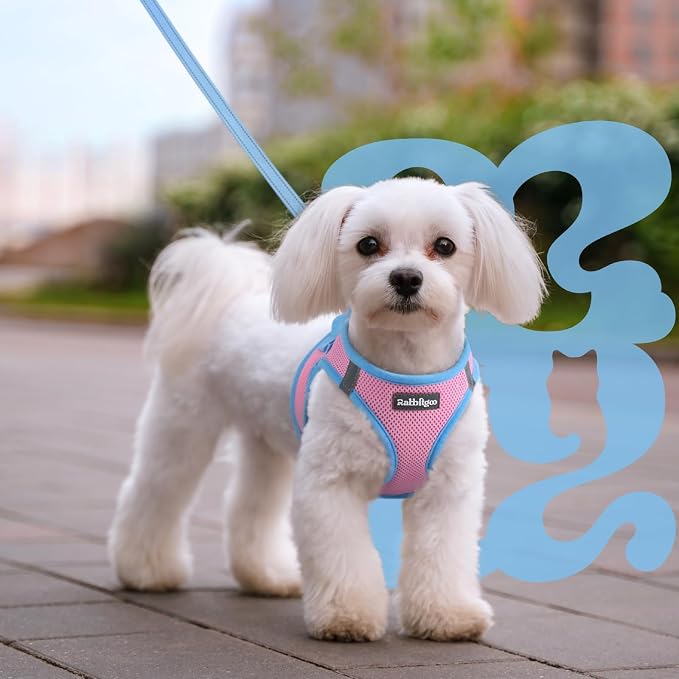 rabbitgoo Dog Harness Small Sized and Leash Set, Step in Soft Vest | Breathable Mesh, Easy Wear with Hook & Loop, Light and Reflective for Walking, Multi-colored, Pink & Blue, L - Image 8
